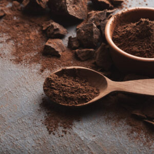 Poudre de cacao alcalinisée 22_24%