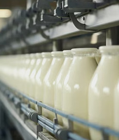 Industrie laitière & dérivés
