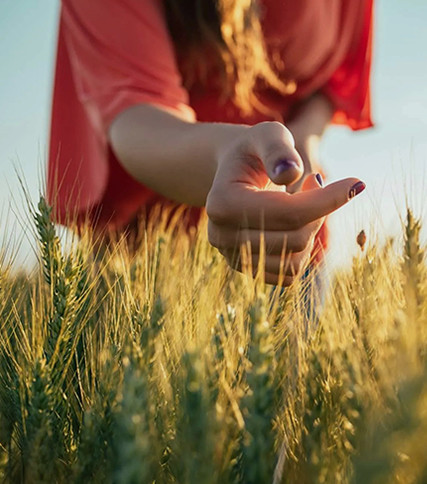 Carte d’Afrique Distribution élargit sa gamme de solutions agroalimentaires